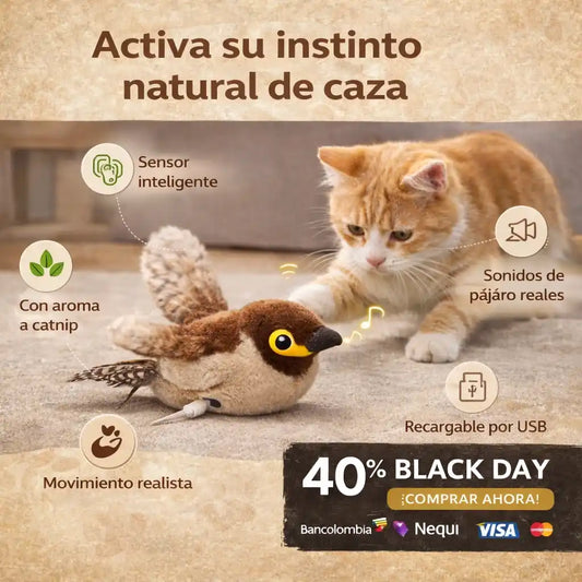NEUROCAT