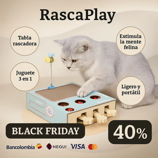 RASCAPLAY